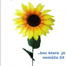 Jsi pro mě…