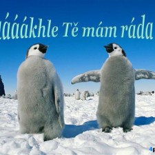 Táákhle tě mám rád(a)